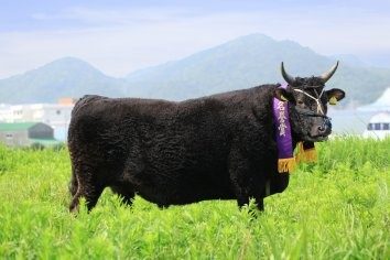 Awaji Beef
